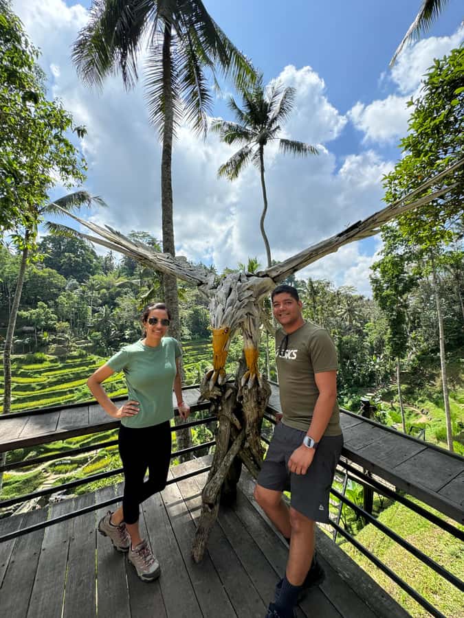 Ubud: Temple, Swing, Waterfall, Rice Terrace & Monkey Forest - A one-day Ubud route with real variety