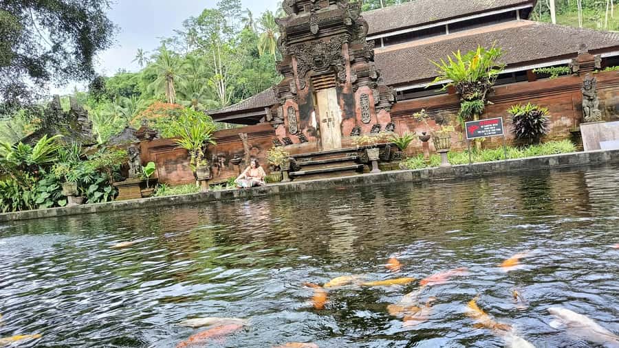 Ubud: Tirta Empul, Rice Terrace, Waterfall and Custom Tour - Tirta Empul temple: sarong, skip-the-line entry, and melukat