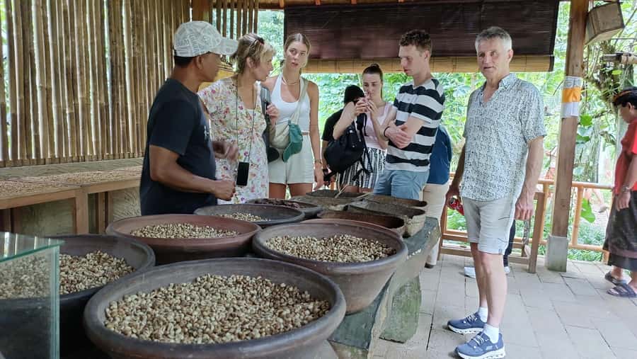 Ubud: Tirta Empul, Rice Terrace, Waterfall and Custom Tour - Lunch break: plan for your own food and keep cash handy