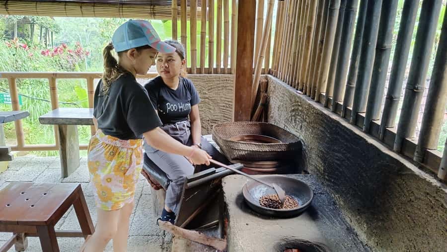 Ubud: Tirta Empul, Rice Terrace, Waterfall and Custom Tour - Price and value: what $22 covers, and what you should budget