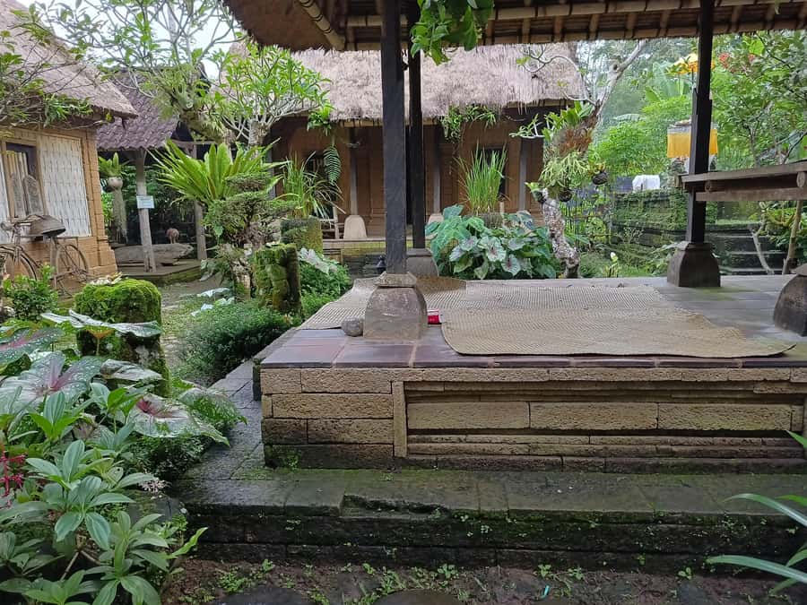 Ubud: Tirta Empul, Rice Terrace, Waterfall and Custom Tour - What to pack (and what to skip) for a smooth day
