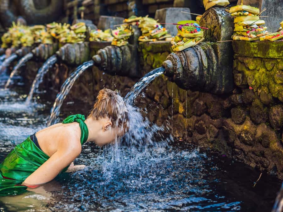 Ubud: Tirta Empul Water Purification Ritual, Private Tour - Why Tirta Empul Feels Like a Calm Reset in Ubud