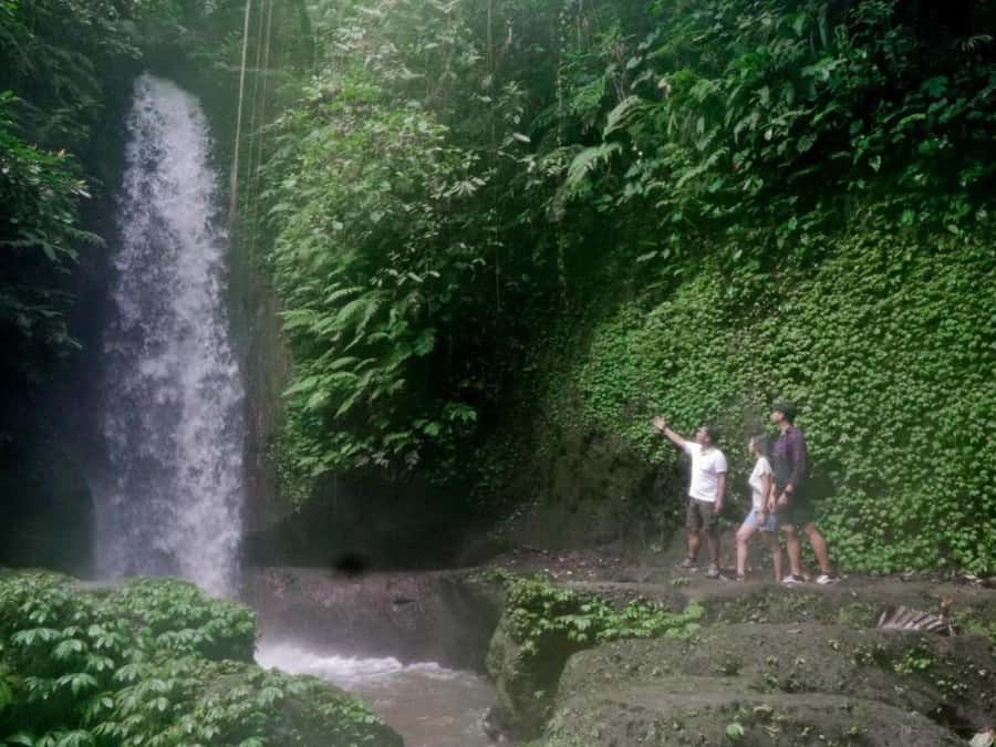 Ubud: Tirta Empul Water Purification Ritual, Private Tour - Coffee Tasting in Ubud: A Relaxed Finish With Local Flavor