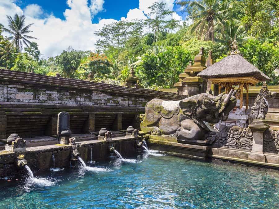 Ubud: Tirta Empul Water Purification Ritual, Private Tour - Price and Value: Is $33 per Person a Good Deal for This Half-Day?