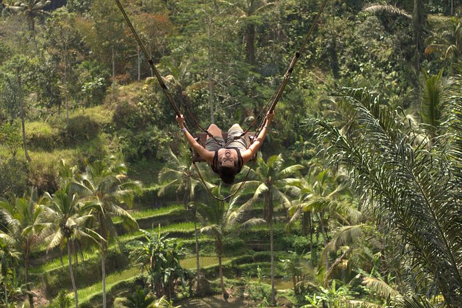 Ubud Top Attractions: Waterfalls, Temples and Rice Terraces - d’Alas Swing: How to Get Great Valley Photos Without Losing the Day