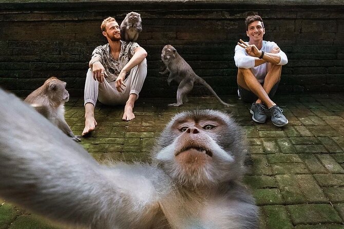 Ubud Tour-All Inclusive with Jungle Swing And Lunch - Ubud in One Private Day: How This Route Feels in Real Time
