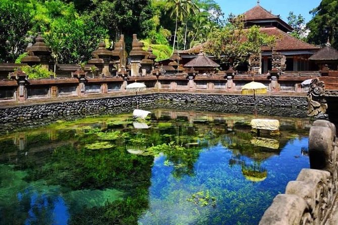 Ubud Tour : Best of Ubud with All inclusive - Coffee plantation stop: a pause that adds culture