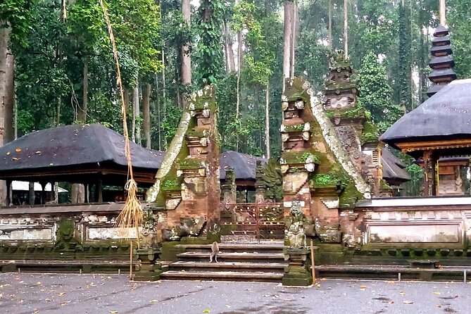 Ubud Tour - Best Of Ubud With Jungle swing - All Inclusive - Lunch at D Alas Warung: Jungle Views Without the Hunt
