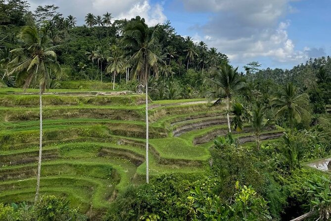 Ubud Tour - Highlight of Ubud - Traditional Tour - Puseh Batuan Temple: a calmer start with a local spiritual stop