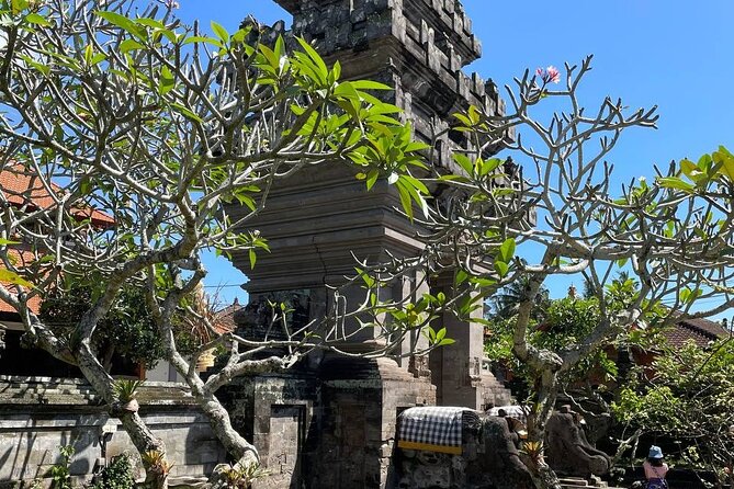 Ubud Tour - Highlight of Ubud - Traditional Tour - Tegalalang Rice Terrace: farm views that teach you what you’re seeing