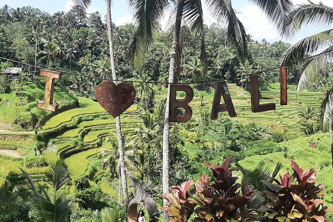 Ubud Tour - Highlights of Ubud - Tegalalang Rice Terrace (With Swing Views): The Photo Stop That Earns It