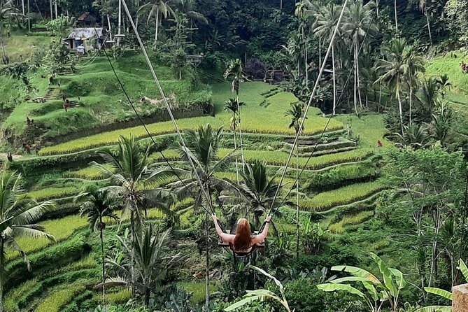 Ubud Tour - Highlights of Ubud - D Alas Warung Lunch: Included Food With Real Bali Options