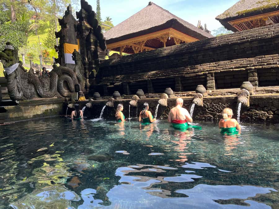 Ubud Tour Monkey Forest Rice Terraces Bali Swing Tirta Empul - Who this tour is best for