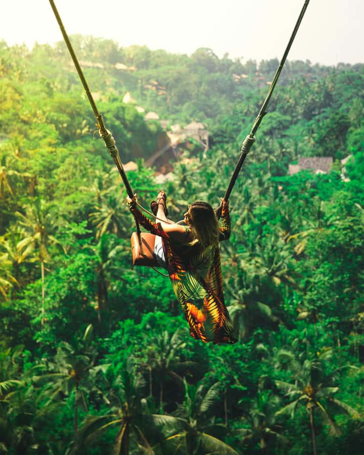 Ubud Tour Monkey Forest Rice Terraces Bali Swing Tirta Empul - Sacred Monkey Forest Sanctuary: fun animals, real-life precautions