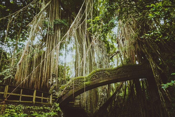 Ubud Tour Waterfall Rice Terrace Temple and Art Village - Tegalalang Rice Terrace: terraced views plus the Subak irrigation story