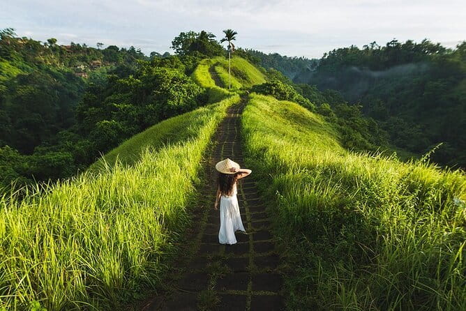 Ubud Tour with all includes - Yana Art Gallery: Wood Carving Village and Studio Time