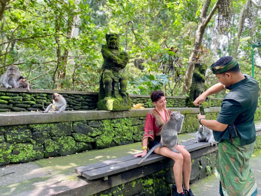 Ubud Tour with Optional English, Spanish and Italian Guide - Key things that make this tour worth your day