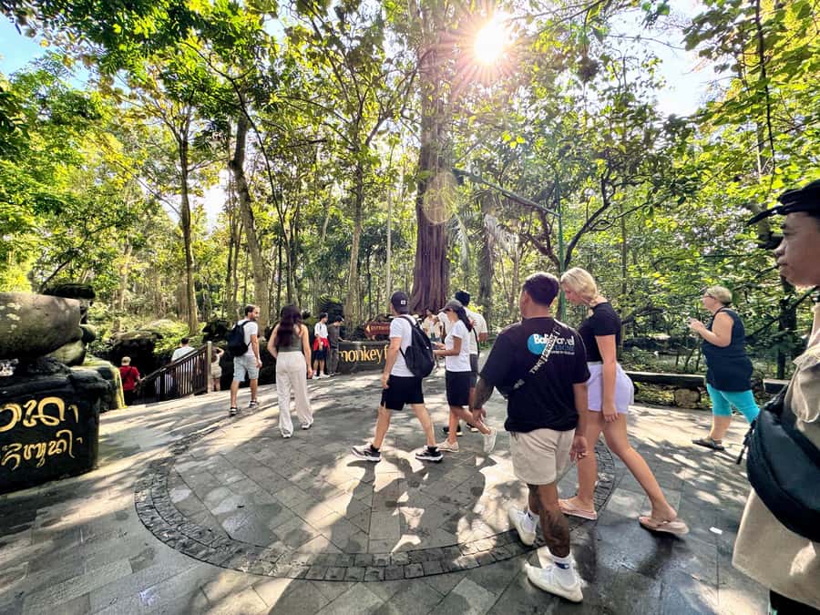 Ubud Tour with Optional English, Spanish and Italian Guide - Tirta Empul Holy Water Temple: sarong, ritual space, and what to respect