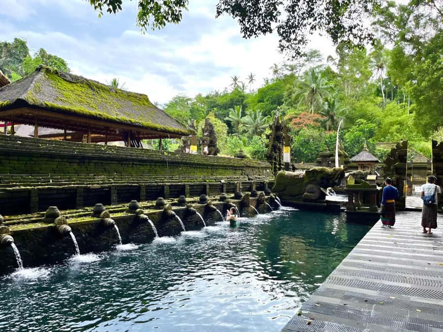 Ubud Tour with Optional English, Spanish and Italian Guide - Price and value: how $27 fits a full day in Bali