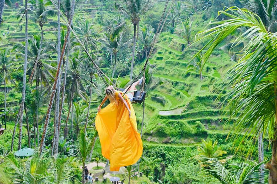 Ubud Tour with Optional English, Spanish and Italian Guide - Sacred Monkey Forest Sanctuary: photos, rules, and 700+ monkeys