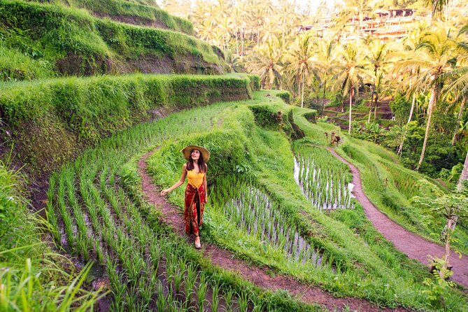 Ubud Tour with Swing, Temple, Monkey Forest, and Waterfall - Getting Around Ubud the Easy Way With a Private AC Driver