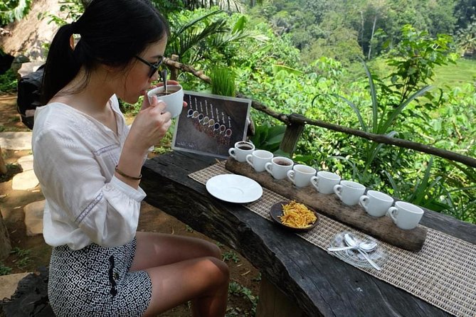 Ubud Tour with Swing, Temple, Monkey Forest, and Waterfall - Tegenungan Waterfall: A Quick Cool-Down With Real Swim Time