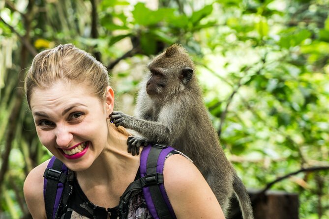 Ubud Tour with Swing, Temple, Monkey Forest, and Waterfall - Price and Value: What $83.60 Covers (and What It Doesn’t)