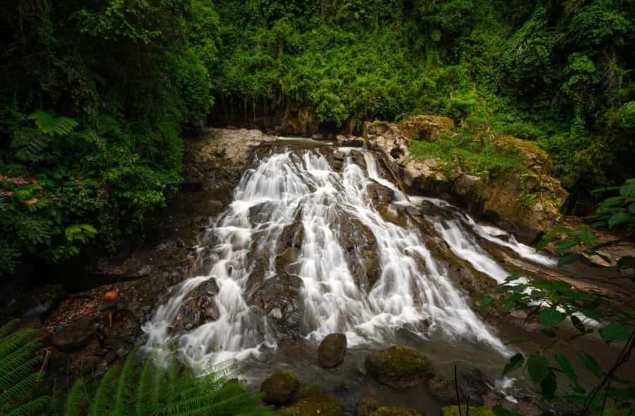 Ubud: Trekking Through Rivers & Forests to Three Waterfalls - Green Canyon swing: the moment most people remember