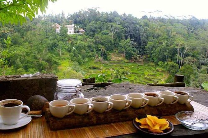 Ubud Trip, The Best of Ubud in a day - All Inclusive - Tegenungan Waterfall: Photos First, Swimming Only If Conditions Allow