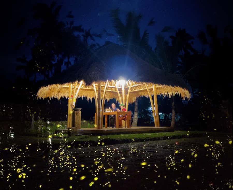 Ubud: Village Firefly Night Tour with Dinner - Key highlights to know before you go