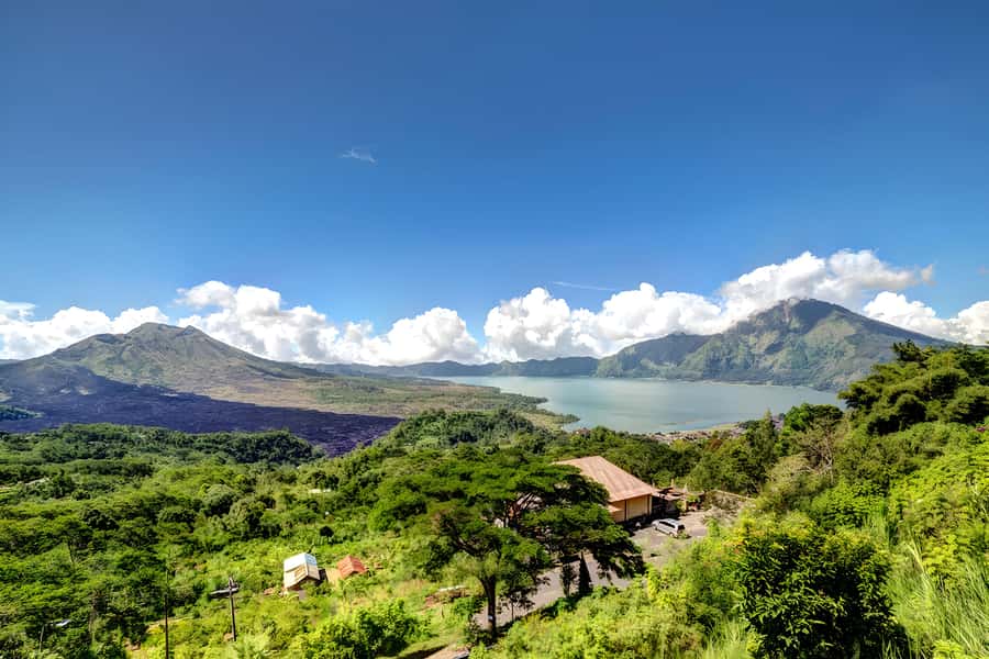 Ubud Village, Waterfall and Kintamani Volcano Private Tour - Price and Logistics: Why $61 Can Still Be a Good Deal