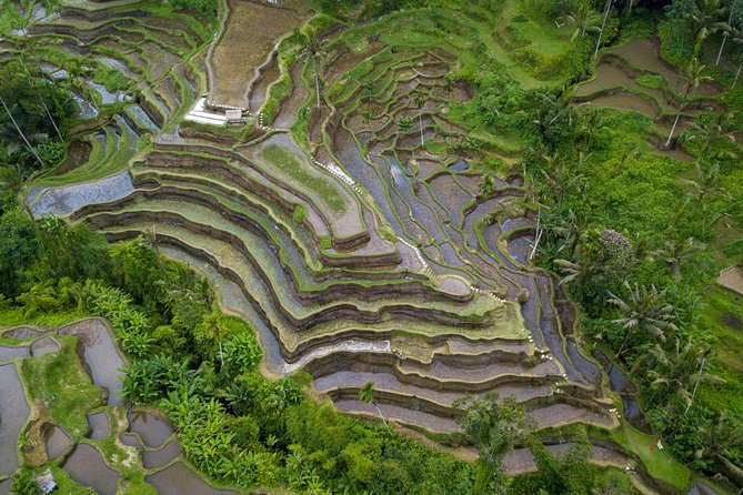 Ubud Volcano Lake and Natural Hot Spring Tour - Tegenungan Waterfall: the “let it all cool off” finale