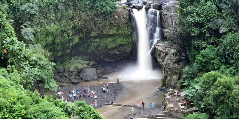 Ubud VW Safari Bali Tour - Key Highlights You’ll Actually Care About