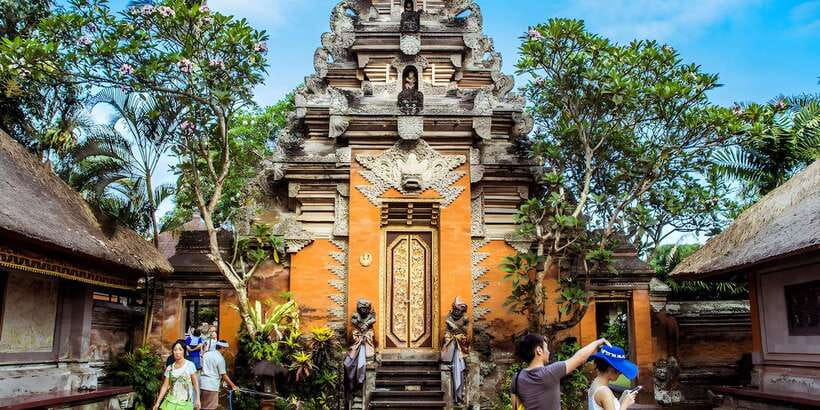 Ubud VW Safari Bali Tour - The Driver-Led Experience: What to Expect From the Human Part