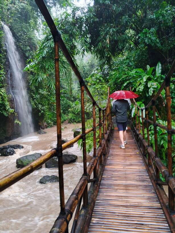 Ubud: Water Temple, Rice Terrace, and Waterfalls Tour - Tibumana waterfall: a scenic walk that ends in a swim