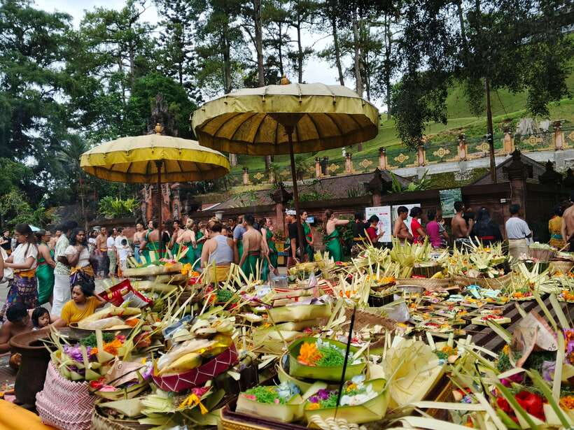 Ubud: Water Temple, Rice Terrace, and Waterfalls Tour - Price and value: what $30 really covers