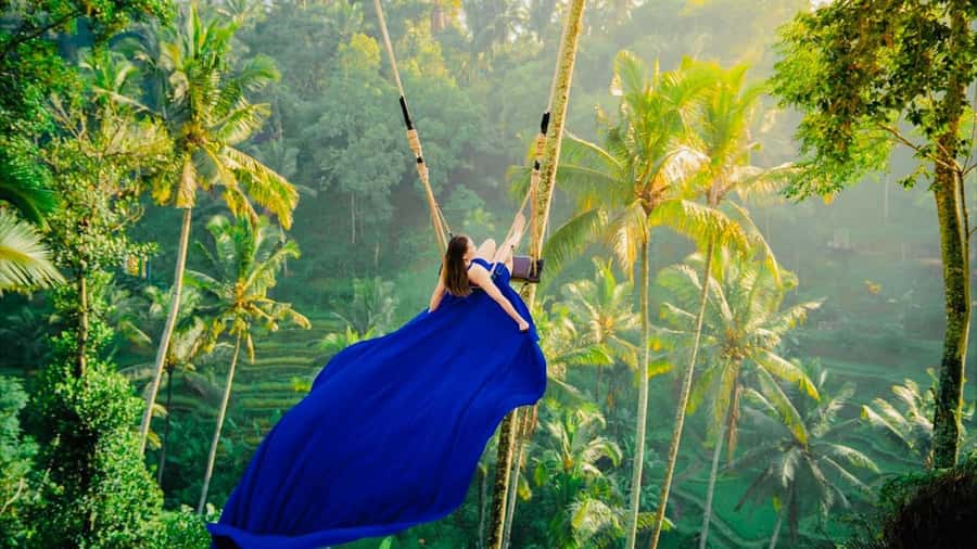Ubud: Water Temple, Rice Terrace, Waterfall, Private Tour - Key highlights worth your attention