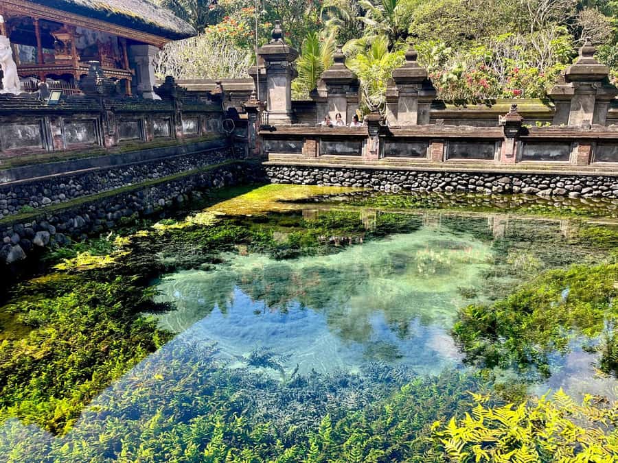 Ubud: Water Temple, Rice Terrace, Waterfall, Private Tour - Jungle swing and photo/video moments: plan for fun, not just photos