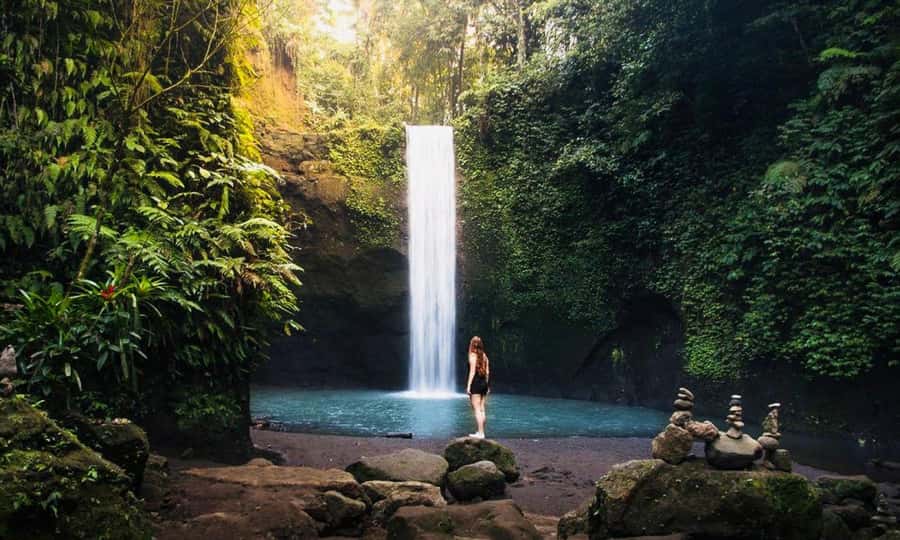 Ubud: Water Temple, Rice Terrace, Waterfall, Private Tour - Tegallalang Rice Terrace: the views are the point, but so is the walking time
