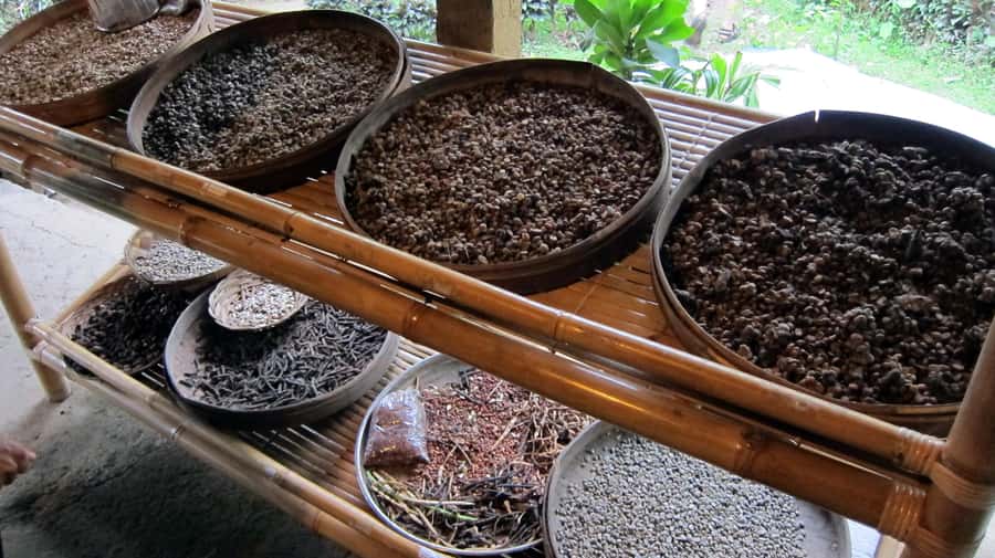 UBUD : Water Temples, Waterfalls, and Rice Terraces Tour - Price and value: why $19 can work (if it matches your day)