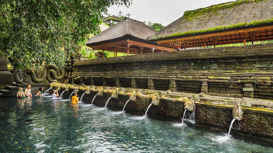UBUD : Water Temples, Waterfalls, and Rice Terraces Tour - Ulu Petanu Waterfall: calm scenery with a tropical feel