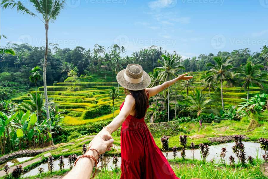 UBUD : Water Temples, Waterfalls, and Rice Terraces Tour - Tegallalang Rice Terrace: the photo-famous views, plus context