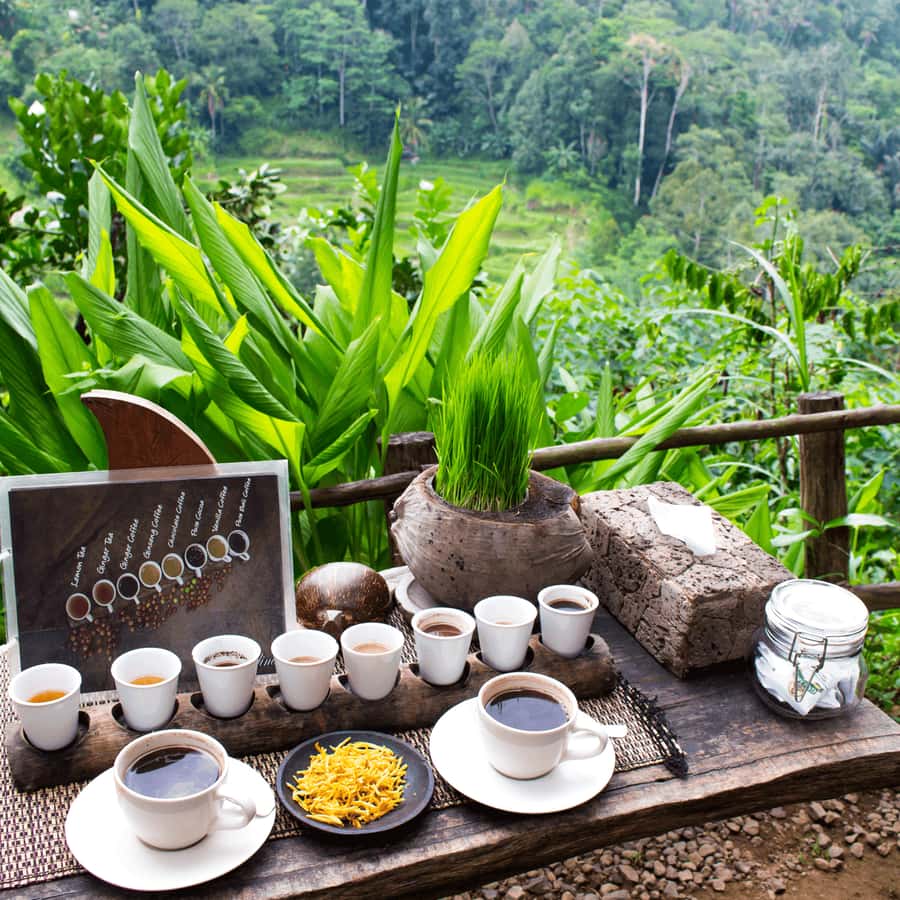 UBUD : Water Temples, Waterfalls, and Rice Terraces Tour - Kumulilir: another rice angle that makes the day feel longer (in a good way)