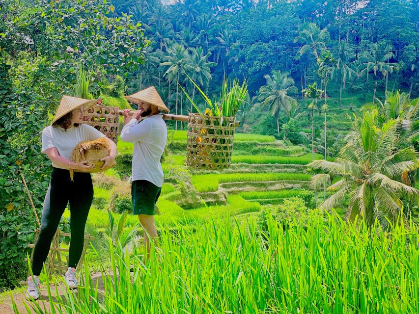 Ubud Waterfall, coffe plantation,and Atv Quad Bike - Key highlights at a glance