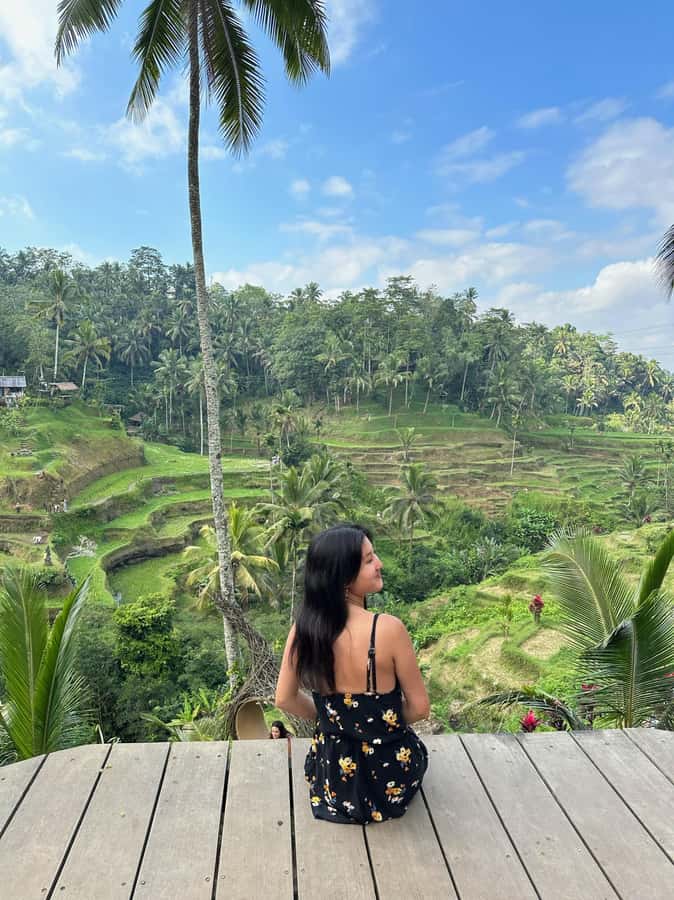 Ubud: Waterfall, Rice Terrace & Temple Private Day Tour - Price and Logistics: Is $30 Actually Good Value?