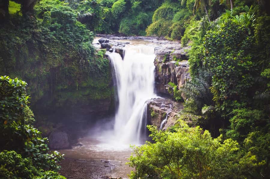 Ubud: Waterfall, Rice Terrace & Temple Private Day Tour - Tegenungan Waterfall: Walk, Snap, Cool Off