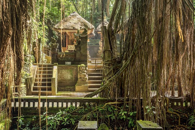 Ubud: Waterfall, Rice Terraces, and Monkey Forest Private Tour - Tegenungan Waterfall: When You Can Actually Cool Off