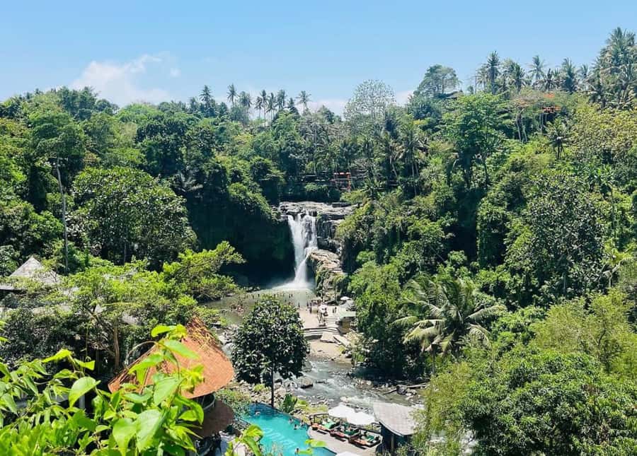 Ubud: Waterfall, Ricefield, Purification Ritual Private Tour - Who This Tour Suits Best (and Who Should Skip It)