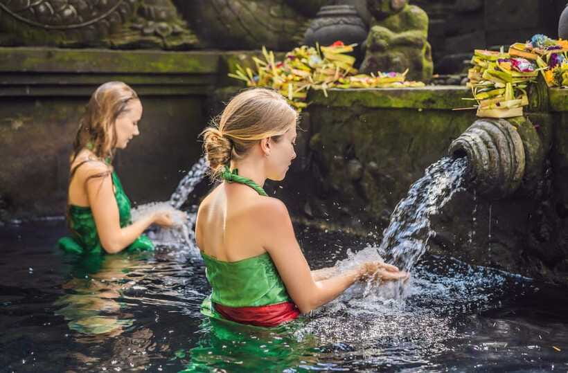Ubud: Waterfall, Ricefield, Purification Ritual Private Tour - Should You Book This Ubud Waterfall, Ricefield, Purification Tour?