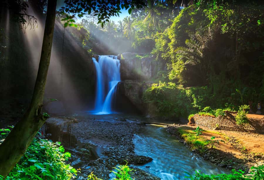 Ubud: Waterfall, Ricefield, Purification Ritual Private Tour - Tegallalang Rice Terraces: More Than a Pretty Hillside